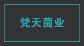 食品行业泰州高港区工作服设计款式